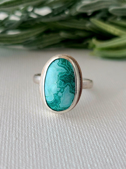 Linne Ring with Chrysocolla-size 8 US