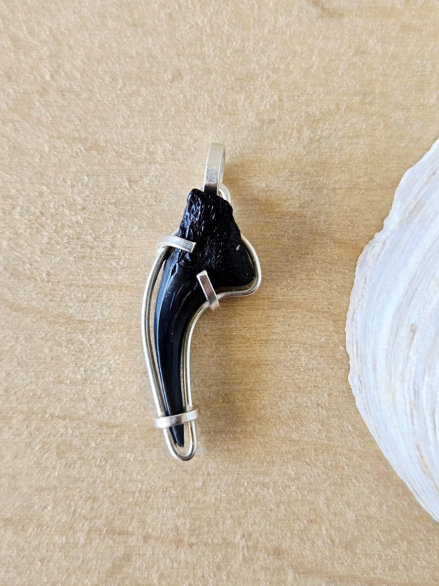 Curved Shark Tooth Fossil charm/pendant