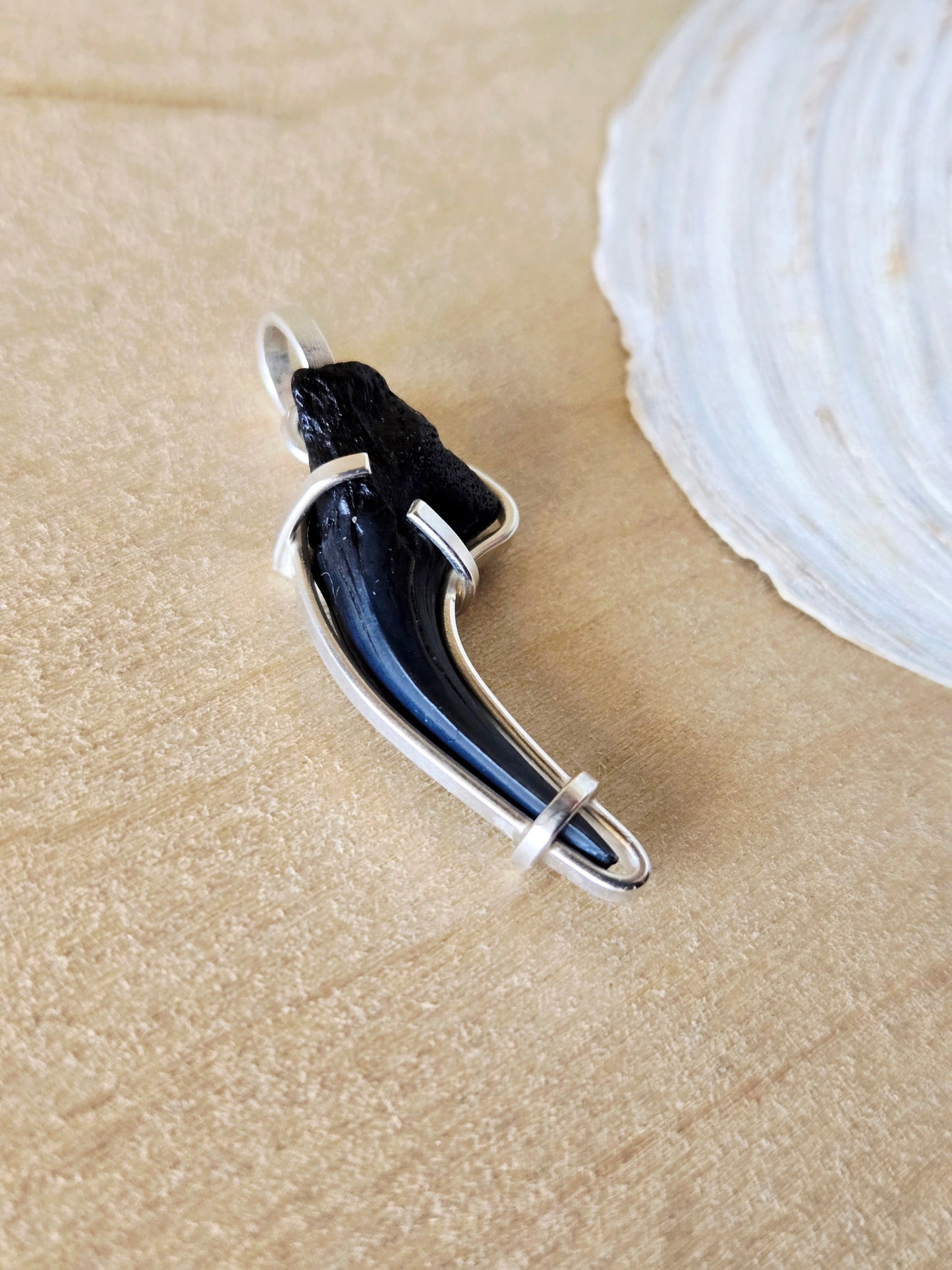 Curved Shark Tooth Fossil charm/pendant
