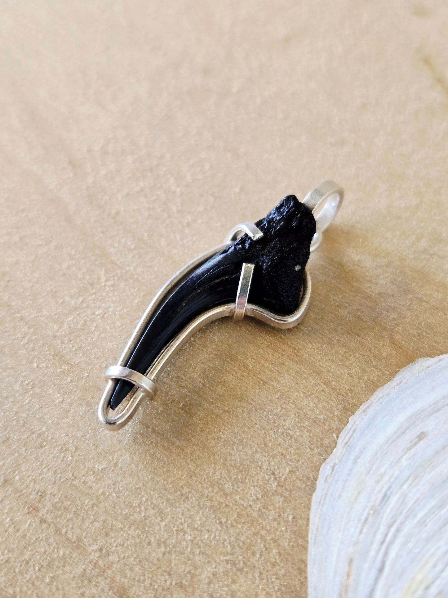 Curved Shark Tooth Fossil charm/pendant