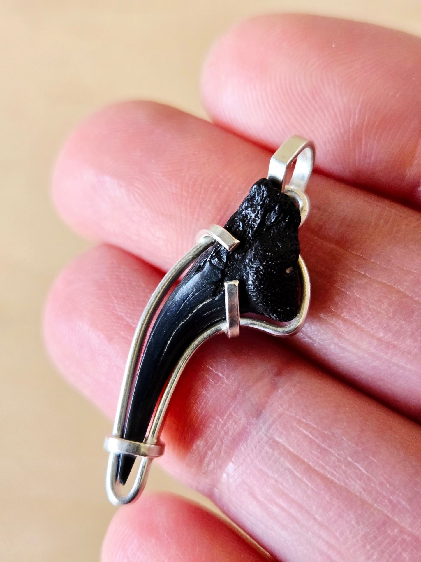 Curved Shark Tooth Fossil charm/pendant