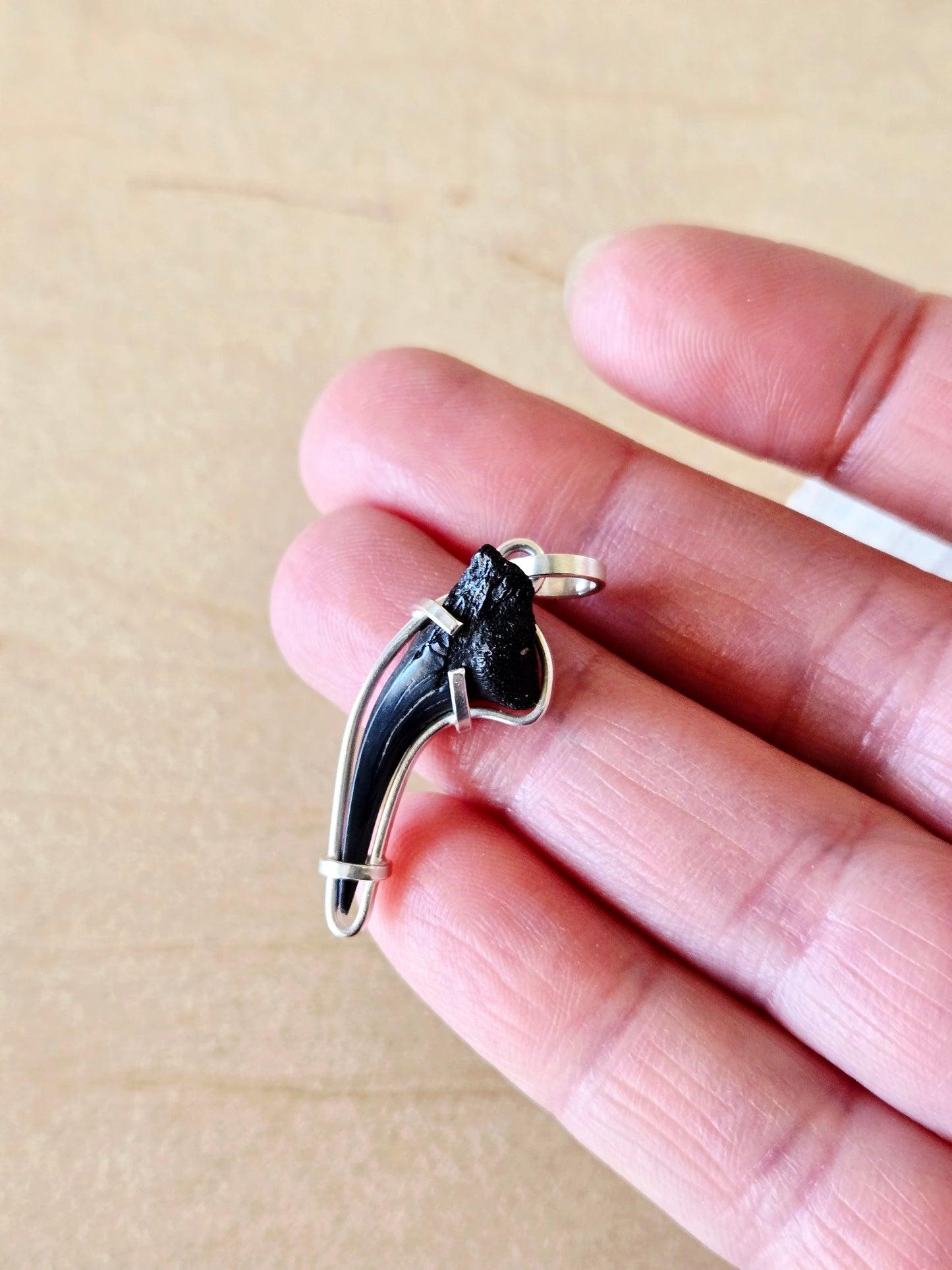 Curved Shark Tooth Fossil charm/pendant