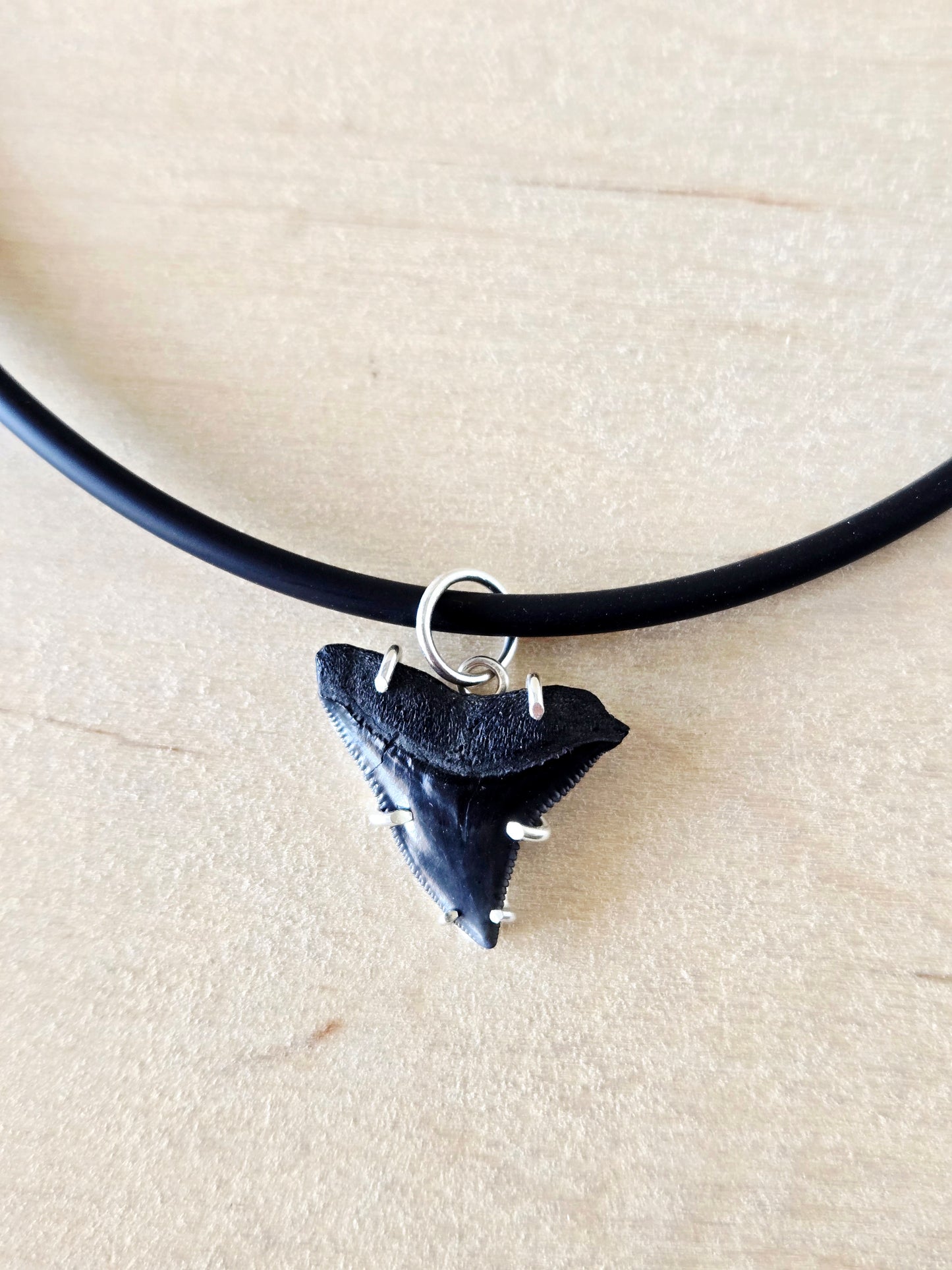 Black Fossilized Shark Tooth Charm/Pendant