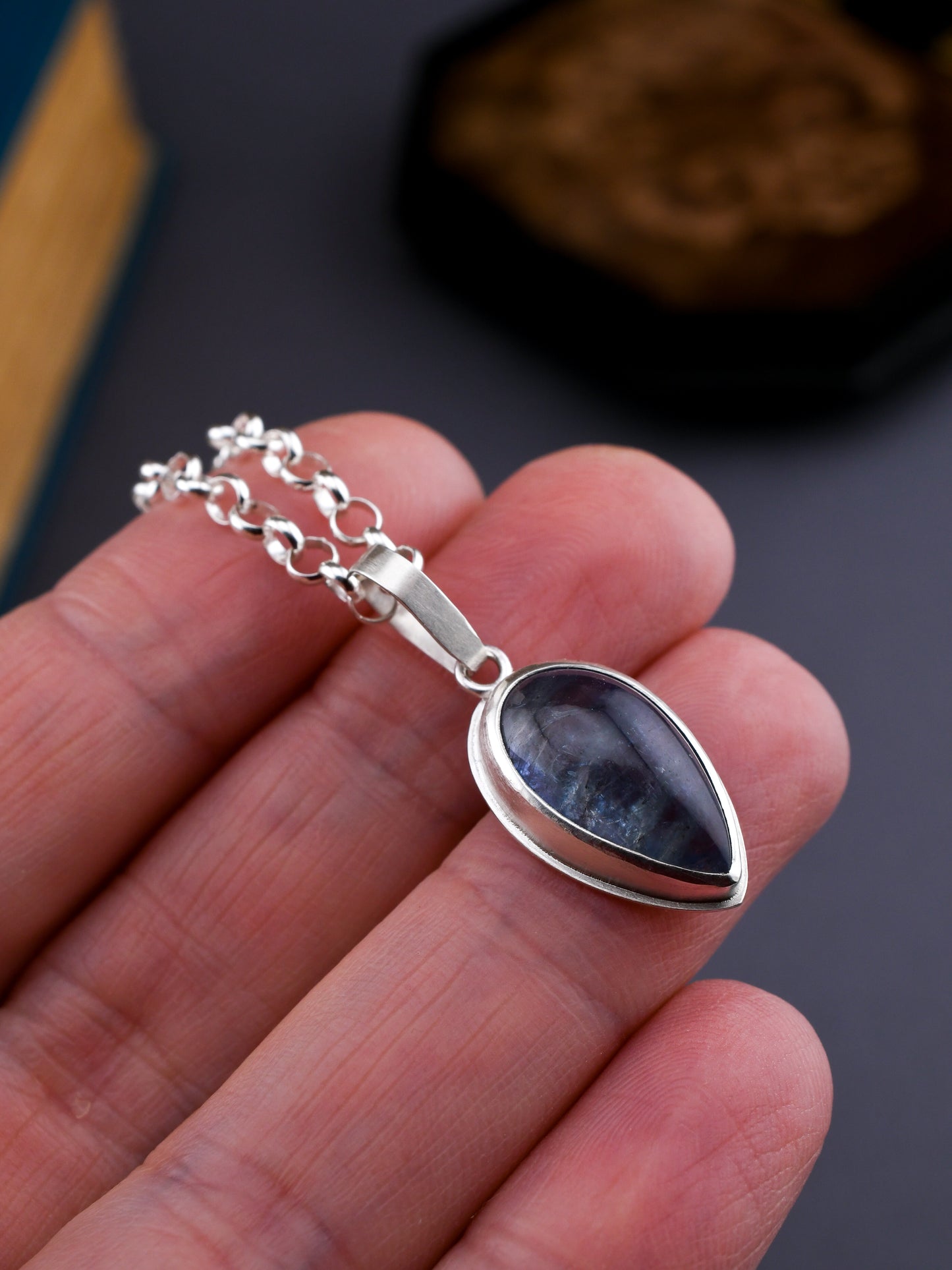 Silver necklace with a talon-shaped pendant held in a hand against a blurred background