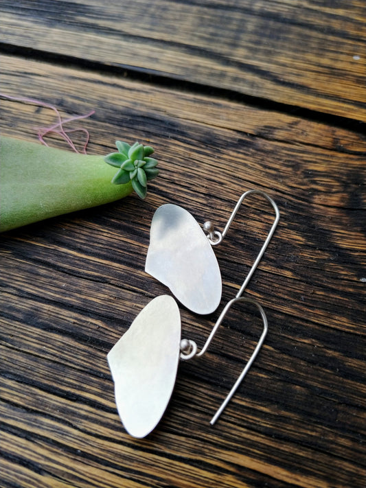 Propogating baby succulents and my Echeveria earrings