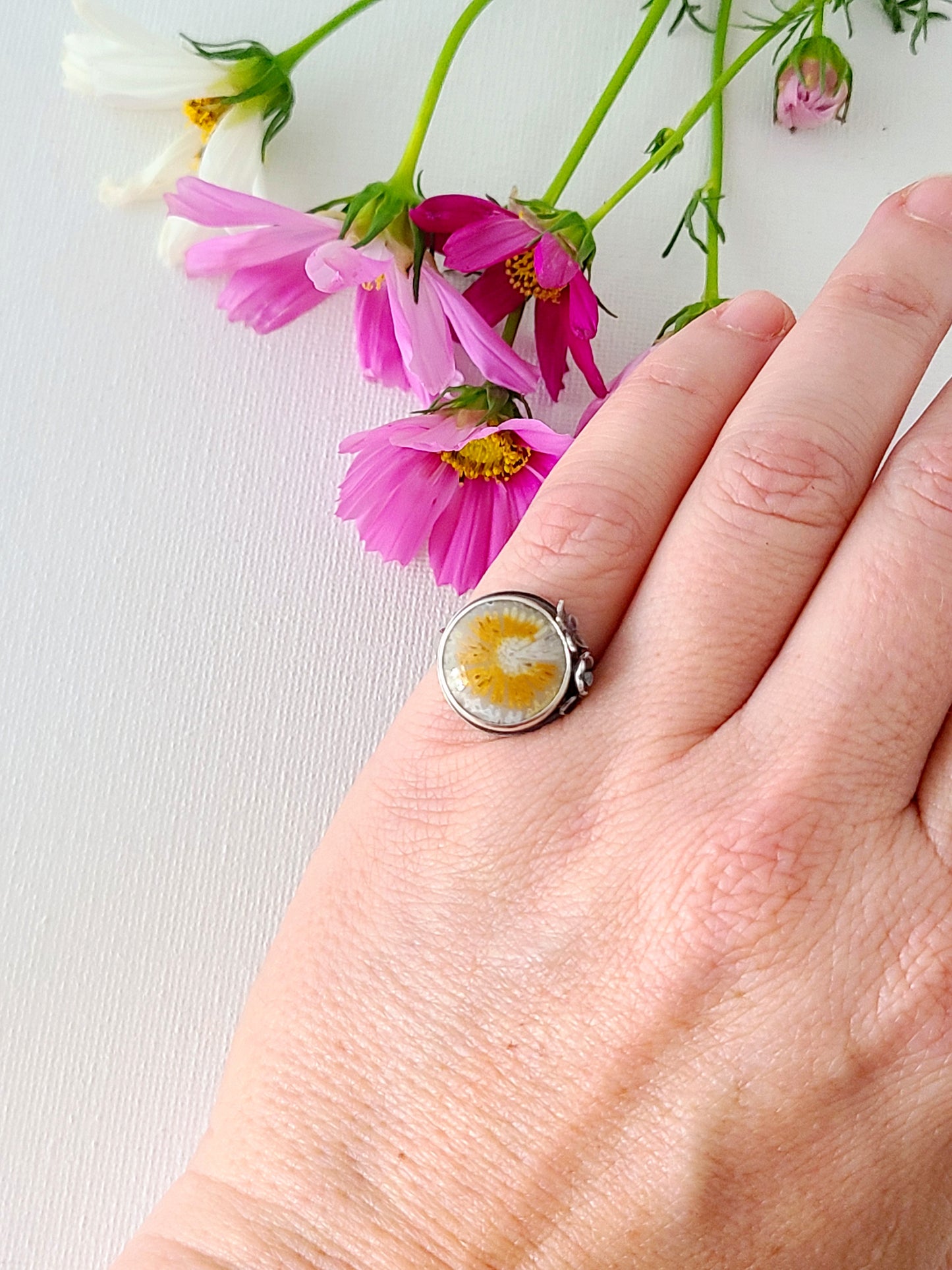 Bouquet Ring #11: Round Fossilized Coral-size 6.25 US