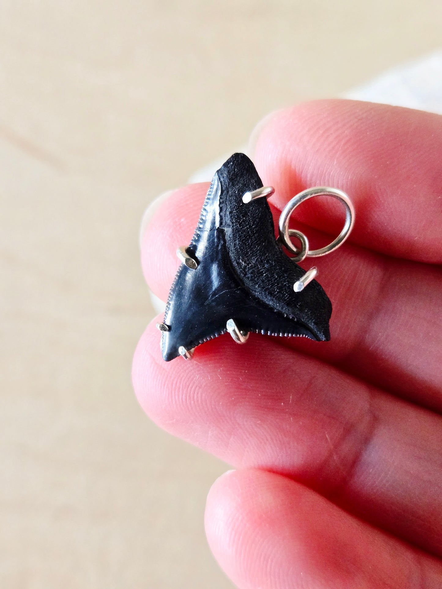 Black Fossilized Shark Tooth Charm/Pendant