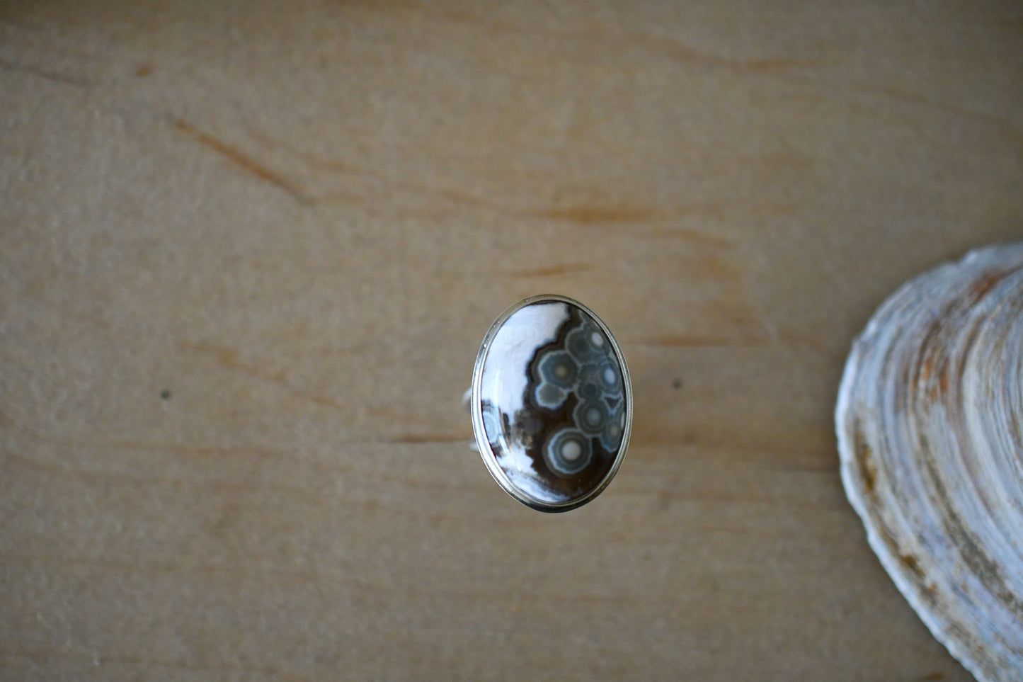 Oval Brown & White Ocean Jasper Ring: Size 8 US