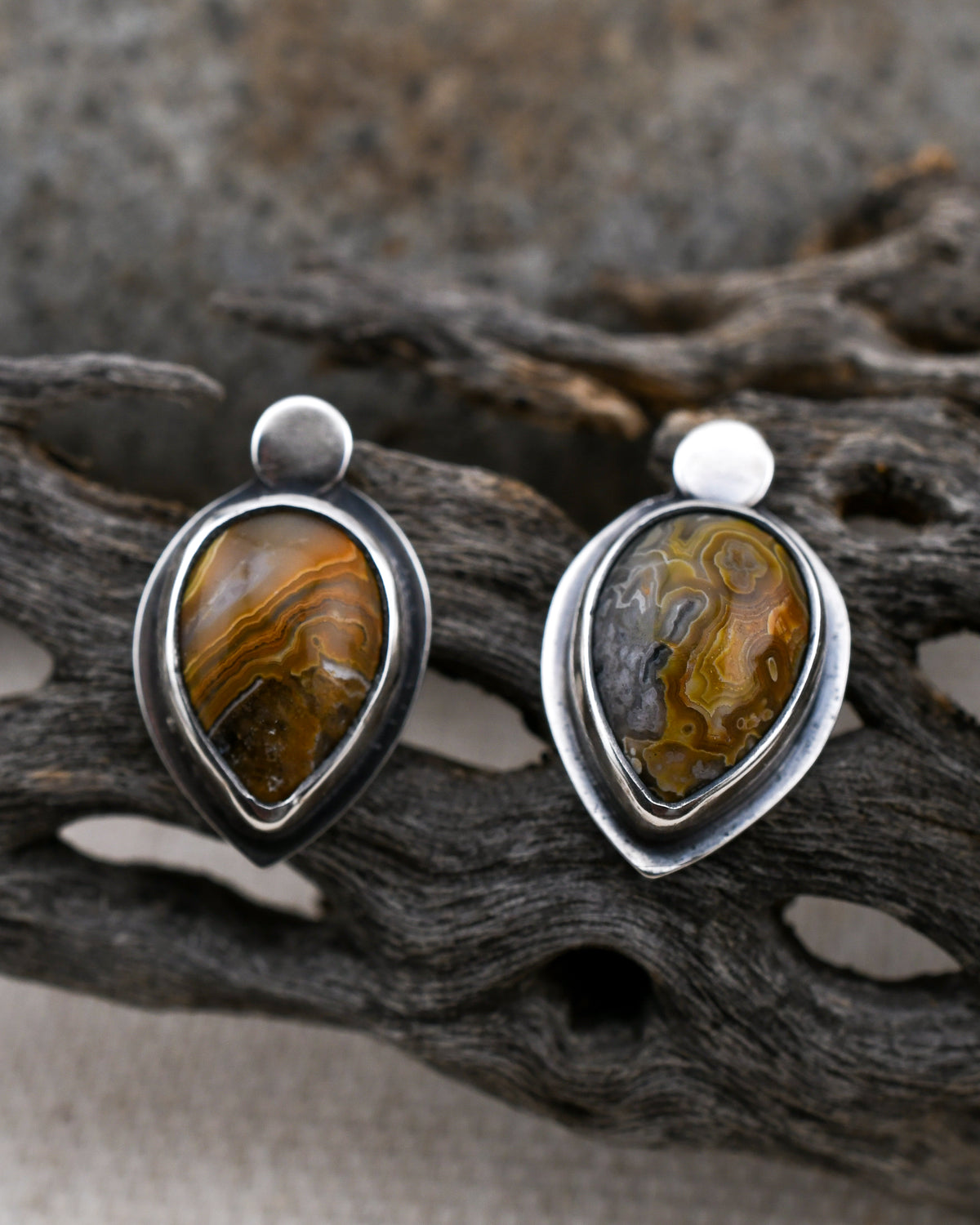 Sterling silver teardrop stud earrings with gold and gray crazy lace agate displayed on cactus wood